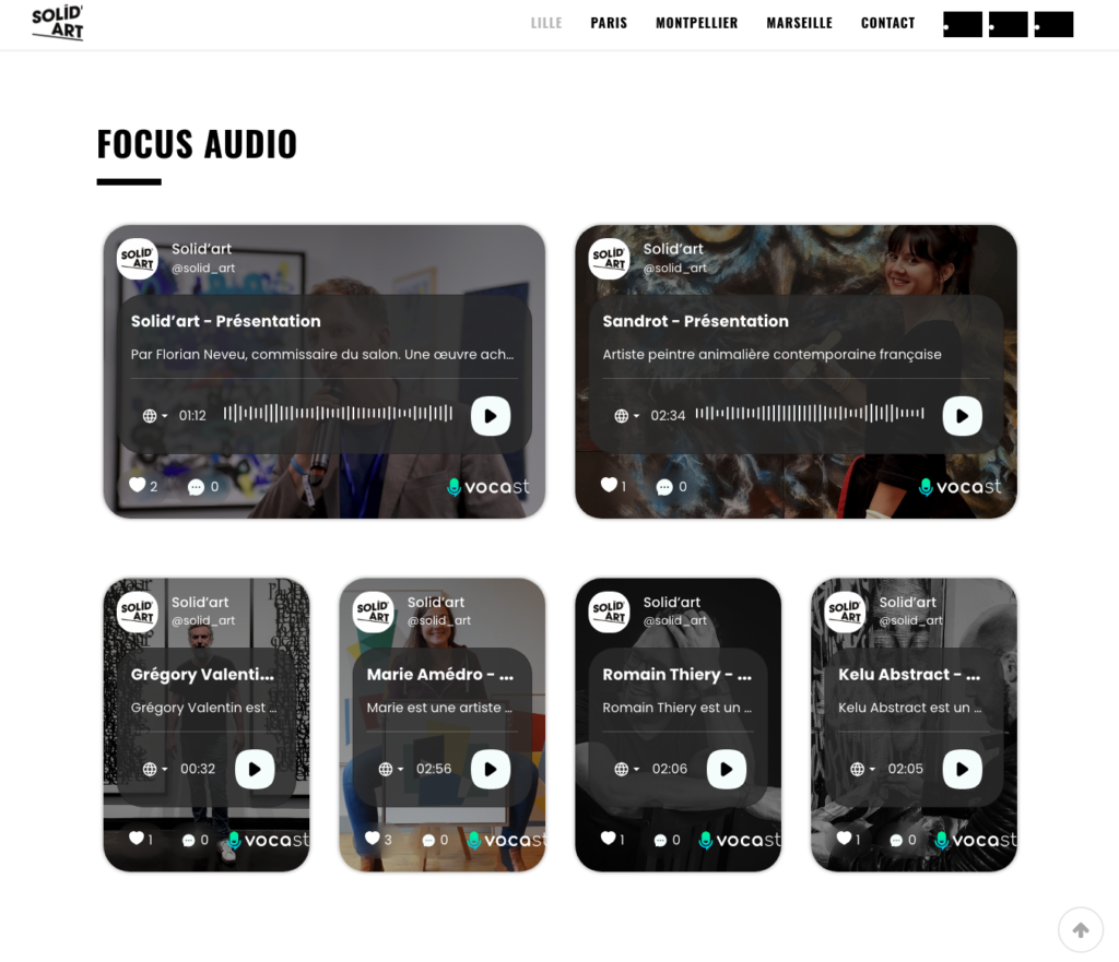 Solidart_screenshot_2