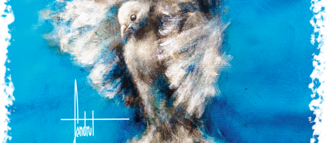 sandrot-solidart-900x1024